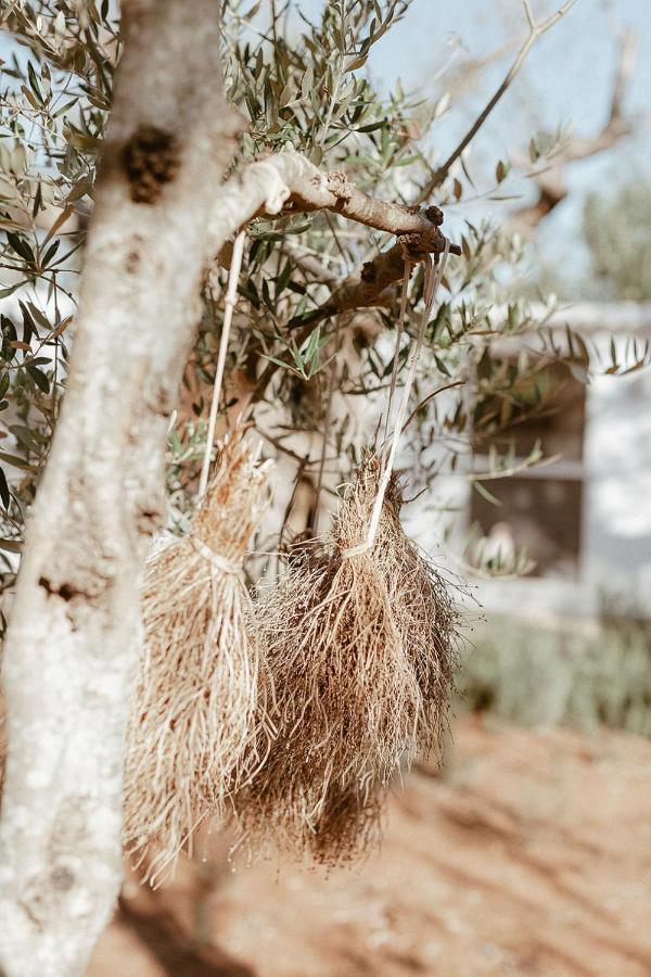 Sikalindi Apulia Villa Gagliano del Capo Dış mekan fotoğraf